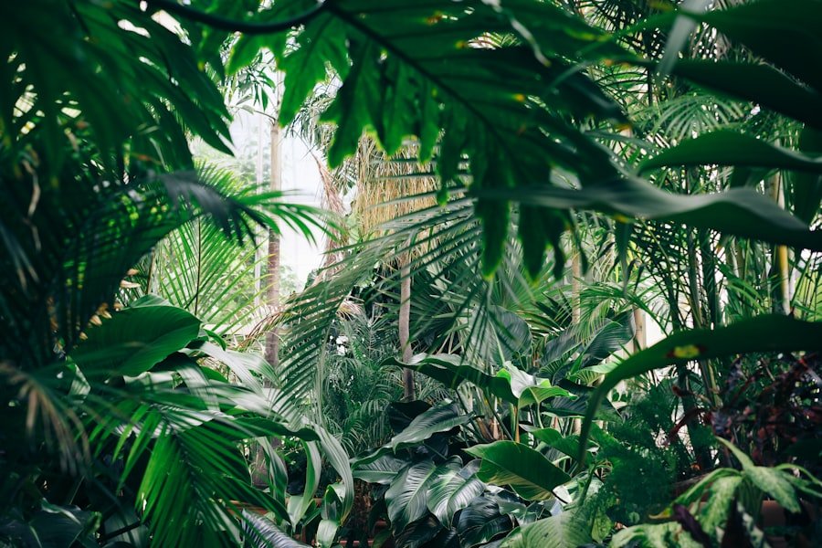 Botanical textures from the nursery